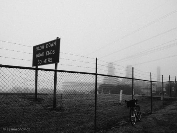 Misty Morning, Auckland